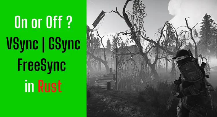on-or-off-vsync-gsync-freesync-in-rust