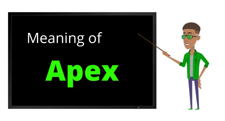 Gaming Terminology Apex