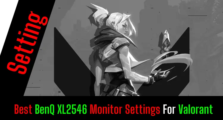 Best BenQ XL2546 Monitor Settings For Valorant