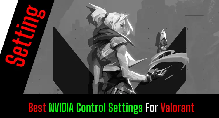 La mejor configuración de control de NVIDIA para Valorant